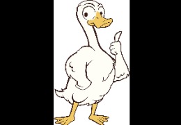 食品原料小百科：PQQ在動(dòng)物領(lǐng)域的應(yīng)用？