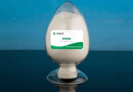 什么是透明質(zhì)酸？