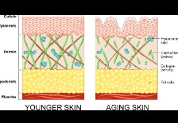 正確選擇精華素，讓你的肌膚更緊致、更年輕