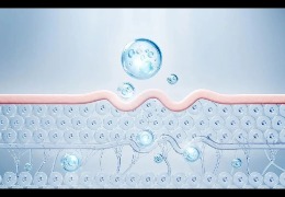 護(hù)膚品滲透和吸收是一回事嗎？