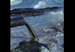 核輻射風(fēng)波，日妝還能用嗎？